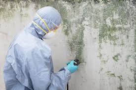 Best Mold Odor Removal Services  in Bonnie Brae, IL